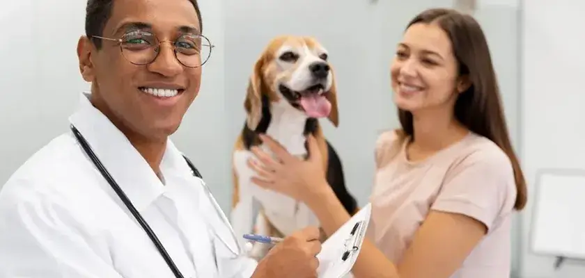 medicina veterinária