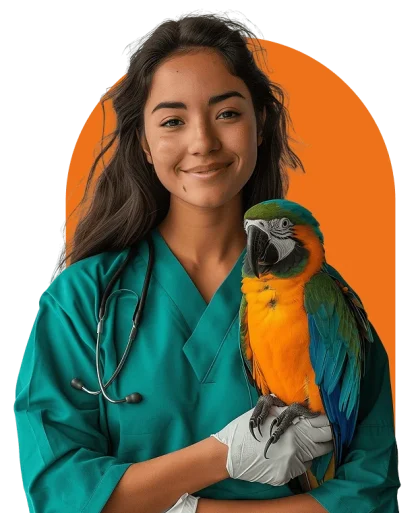 medicina veterinaria